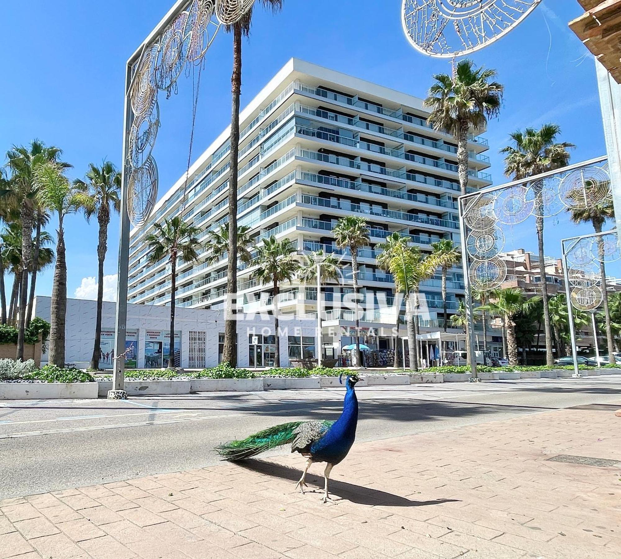 Apartamento Albamarina, 1ªlinea, Magic World, Vistas Al Mar! 오로페사델마르 외부 사진